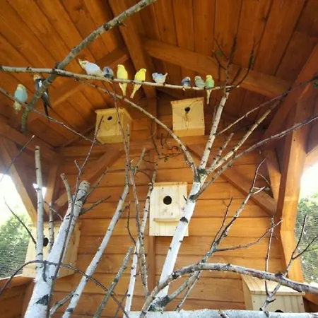 مزرعة للإقامة Agroturystyka U Matysa, Wisla - Apartamenty I Pokoje Ogrod Z Placem Zabaw Z Basenem Balia Oraz Przestrzenia Dla Dzieci Swieta Wielkanocne Z Wyzywieniem Domowa Kuchnia Widok Na Gory Szlaki Turystyczne Spacery *