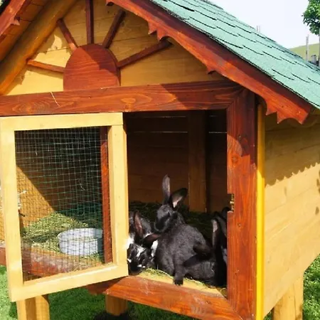 Agroturystyka U Matysa, Wisla - Apartamenty I Pokoje Ogrod Z Placem Zabaw Z Basenem Balia Oraz Przestrzenia Dla Dzieci Swieta Wielkanocne Z Wyzywieniem Domowa Kuchnia Widok Na Gory Szlaki Turystyczne Spacery * فيسلا