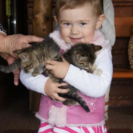 Gospodarstwo agroturystyczne Agroturystyka u Matysa, Wisła - apartamenty i pokoje ogród z placem zabaw z basenem balią oraz przestrzenią dla dzieci Święta Wielkanocne z wyżywieniem domowa kuchnia Widok na góry szlaki turystyczne spacery