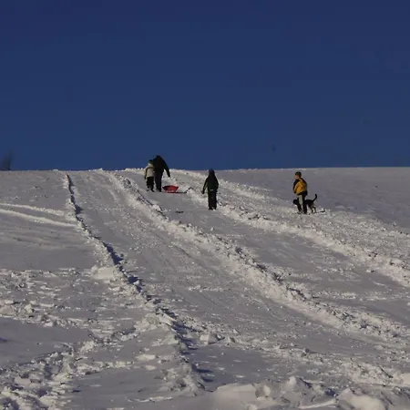 Gospodarstwo agroturystyczne Agroturystyka u Matysa, Wisła - apartamenty i pokoje ogród z placem zabaw z basenem balią oraz przestrzenią dla dzieci Święta Wielkanocne z wyżywieniem domowa kuchnia Widok na góry szlaki turystyczne spacery Wisła