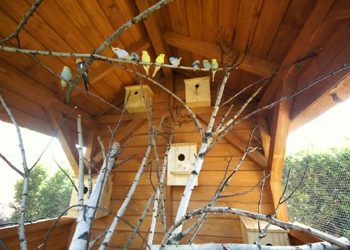 Farma U Matysa, - I Widok Na Gory Zima Kuligi Wyciagi Narciarskie Trasy Saneczkowe *