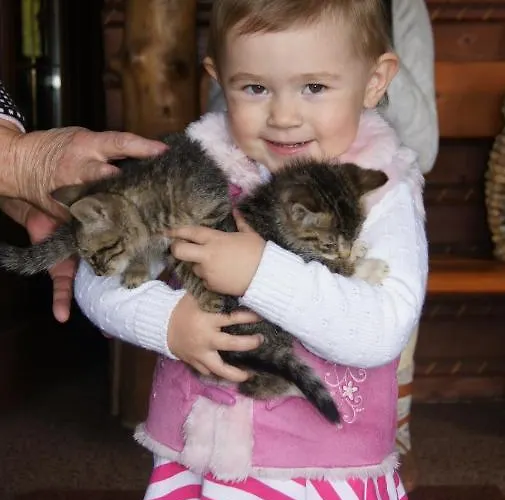 Farma U Matysa, - I Widok Na Gory Zima Kuligi Wyciagi Narciarskie Trasy Saneczkowe