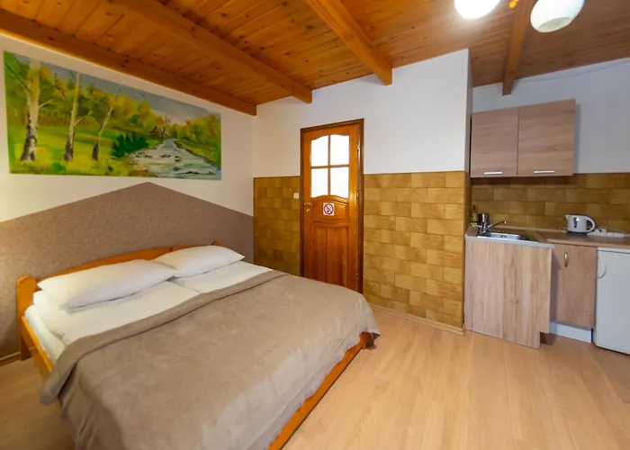 Agroturystyka U Matysa Wisla Apartamenty I Pokoje Widoki Na Gory Basen Grill Balia Szlaki Turystyczne Spacery Zwierzeta Duzy Plac Zabaw *